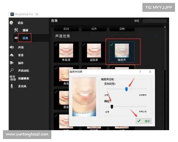 MorphVox Pro语音变换软件深度解析及功能应用详解 MorphVox Pro语音变换软件深度解析及功能应用详解