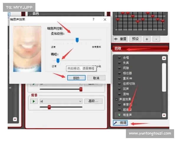 MorphVox Pro常见问题与解答详解 MorphVox Pro常见问题与解答详解