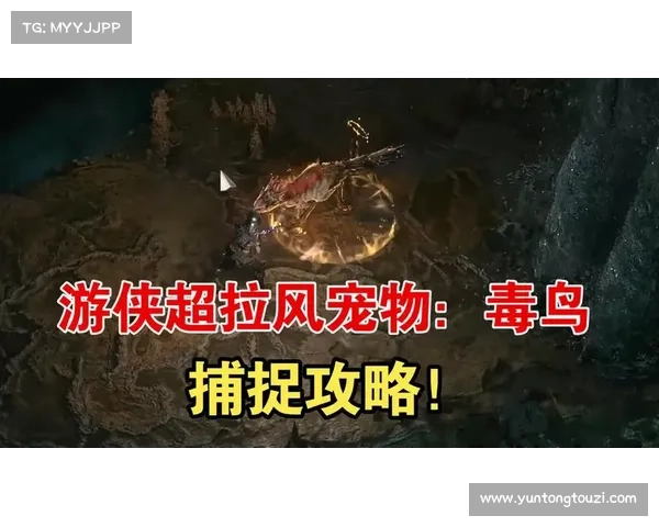 游侠宠物捕捉之旅全面解析 捕捉技巧与策略攻略详解 游侠宠物捕捉之旅全面解析 捕捉技巧与策略攻略详解